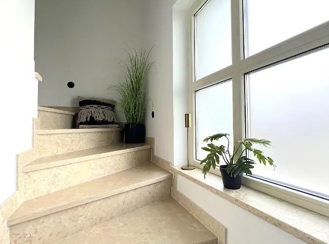 Villa Meliora Vižinada